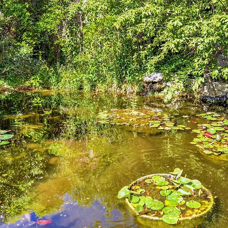Gorgeous In Prázdninový dům *